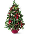 A Boxwood Christmas Tree