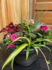 14IN SPRING COMBO POT from Sidney Flower Shop in Sidney, OH