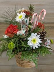 CANDY CANE BASKET from Sidney Flower Shop in Sidney, OH