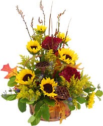Sunflower Basket from Sidney Flower Shop in Sidney, OH