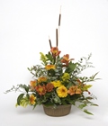 Seasonally Fall