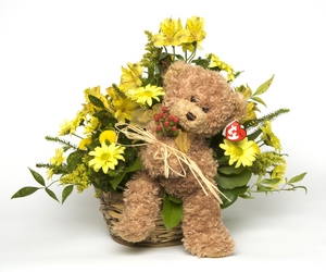 A Soft Little Bear Bouquet from Sidney Flower Shop in Sidney, OH