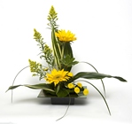 Just for you.....