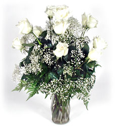 Dozen White Roses w/filler from Sidney Flower Shop in Sidney, OH