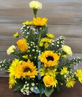 BABY BOY BASKET from Sidney Flower Shop in Sidney, OH