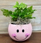 WELCOME BABY PLANT from Sidney Flower Shop in Sidney, OH