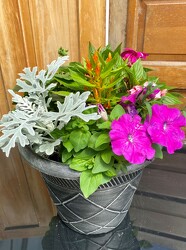 12IN SPRING COMBO POT from Sidney Flower Shop in Sidney, OH
