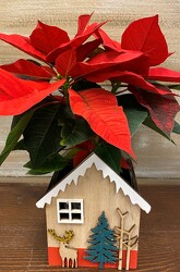 POINSETTIA  DEER from Sidney Flower Shop in Sidney, OH