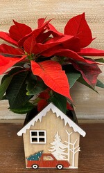 POINSETTIA TRUCK from Sidney Flower Shop in Sidney, OH