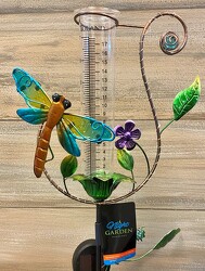 SOLAR DRAGONFLY RAIN GAUGE from Sidney Flower Shop in Sidney, OH