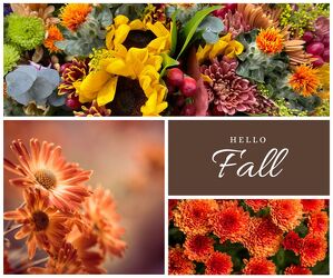 DESIGNER CHOICE FALL MIX from Sidney Flower Shop in Sidney, OH