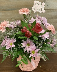 BABY GIRL BASKET from Sidney Flower Shop in Sidney, OH