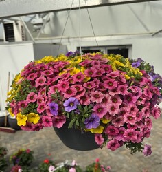 HANGING BASKET CANDY LAND from Sidney Flower Shop in Sidney, OH
