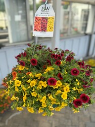 HANGING BASKET HAYRIDE from Sidney Flower Shop in Sidney, OH