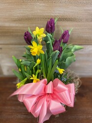 BULB GARDEN MEDIUM from Sidney Flower Shop in Sidney, OH