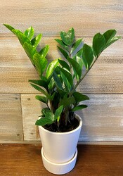 SIGNATURE FOLIAGE from Sidney Flower Shop in Sidney, OH