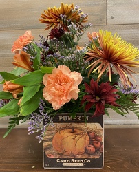PUMPKIN SQUARE from Sidney Flower Shop in Sidney, OH