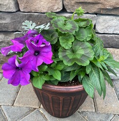 10IN SPRING COMBO POT from Sidney Flower Shop in Sidney, OH