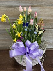 BULB GARDENS from Sidney Flower Shop in Sidney, OH