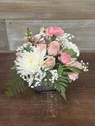 STAR QUALITY from Sidney Flower Shop in Sidney, OH