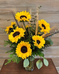 SUNFLOWER MADNESS from Sidney Flower Shop in Sidney, OH