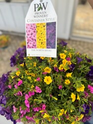 HANGING BASKET THE NORTH SHORE from Sidney Flower Shop in Sidney, OH