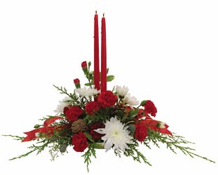 Winter Elegance Centerpiece from Sidney Flower Shop in Sidney, OH