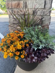 20IN FALL COMBO POT from Sidney Flower Shop in Sidney, OH