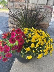 14IN FALL COMBO from Sidney Flower Shop in Sidney, OH